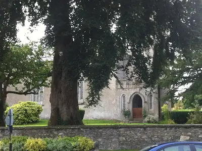 Kill St John